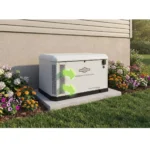 Briggs & Stratton 040794 22kW PowerProtect+ Generator with Dual 200A SE Transfer Switch